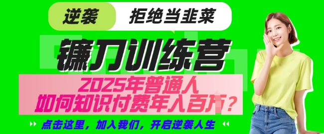【网创项目终点站-镰刀训练营超级IP合伙人】25年普通人如何通过知识付费实现逆袭【揭秘】_超次元库