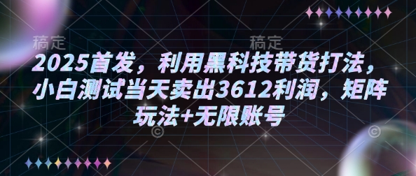 2025首发，利用黑科技带货打法，小白测试当天卖出3612利润，矩阵玩法+无限账号【揭秘】_超次元库