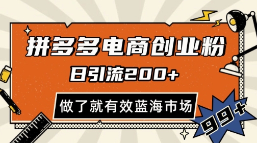 拼多多引流电商创业粉，日引200+，可矩阵放大，做了就有效【揭秘】_超次元库