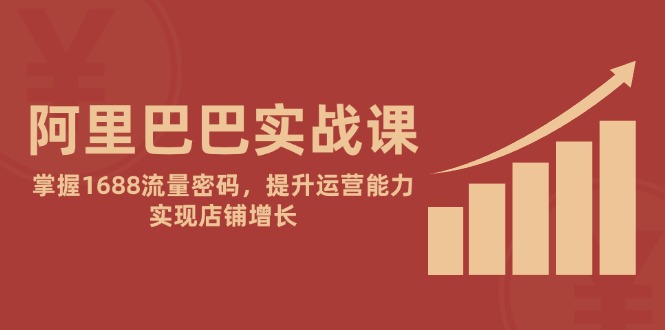 阿里巴巴实战课：掌握1688流量密码，提升运营能力，实现店铺增长_超次元库